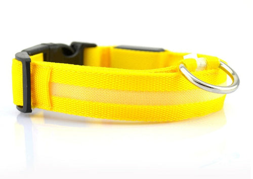 LED Safety Dog Collar – Rechargeable Glowing Night Collar (Sold by SabbaVie™)