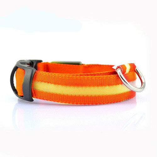LED Safety Dog Collar – Rechargeable Glowing Night Collar (Sold by SabbaVie™)