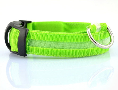 LED Safety Dog Collar – Rechargeable Glowing Night Collar (Sold by SabbaVie™)