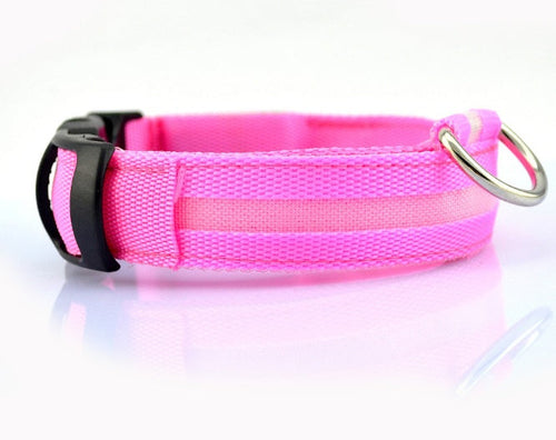 LED Safety Dog Collar – Rechargeable Glowing Night Collar (Sold by SabbaVie™)