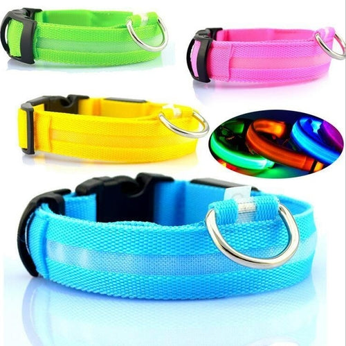 LED Safety Dog Collar – Rechargeable Glowing Night Collar (Sold by SabbaVie™)