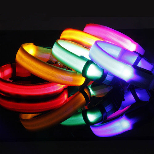 LED Safety Dog Collar – Rechargeable Glowing Night Collar (Sold by SabbaVie™)