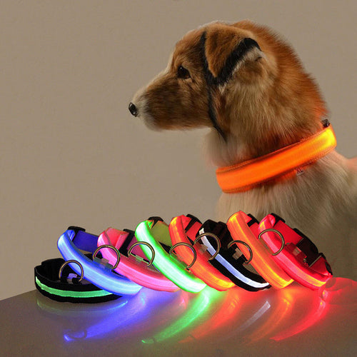 LED Safety Dog Collar – Rechargeable Glowing Night Collar (Sold by SabbaVie™)
