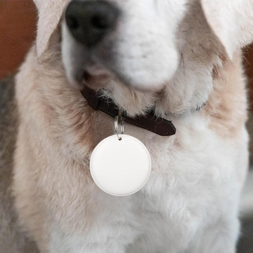 SabbaVie™ Smart GPS Bluetooth Pet & Child Tracker – Real-Time Locator for Pets, Kids & Personal Items