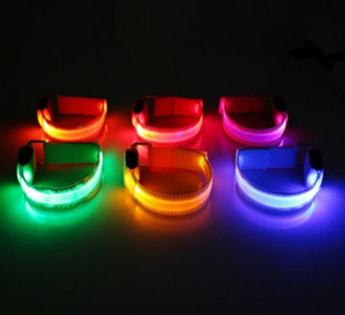 LED Safety Dog Collar – Rechargeable Glowing Night Collar (Sold by SabbaVie™)